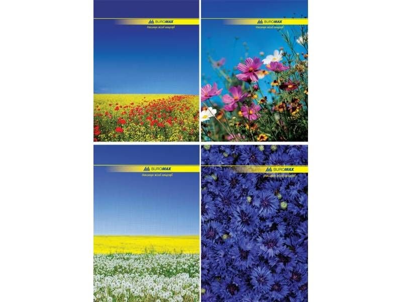 Книга комірна канцелярська  BUROMAX 96л NATURE твердий лак КЛІТИНКА BM.2400