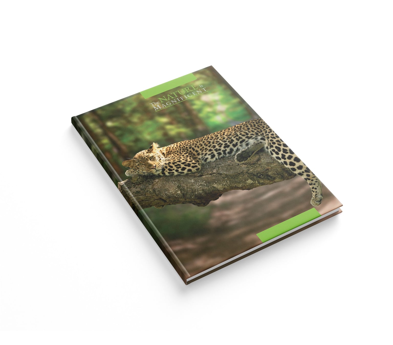 Книга обліку Аркуш А4 96арк Леопард 1В2993