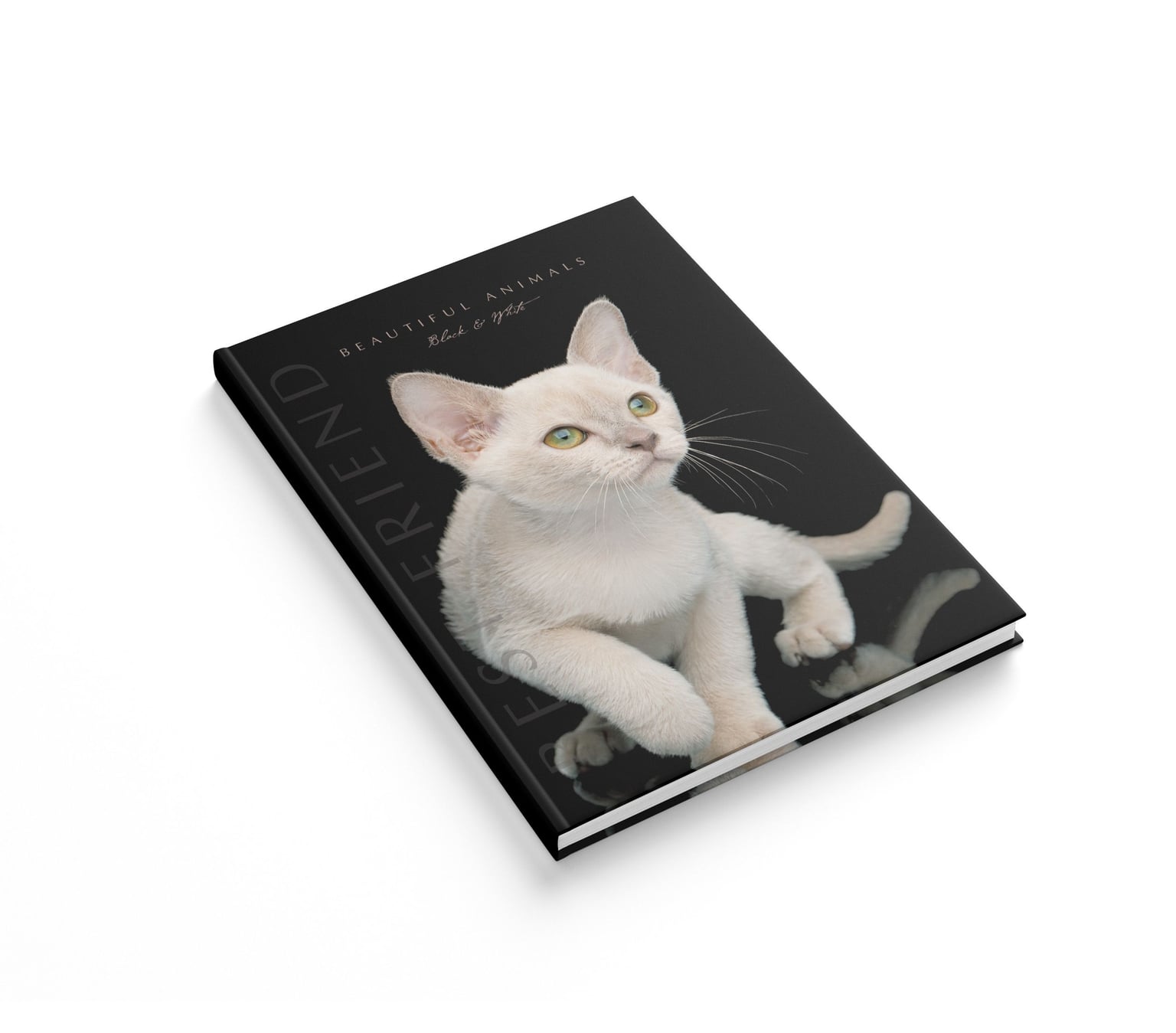Книга обліку Аркуш А4 192арк Білий кіт 1В2381