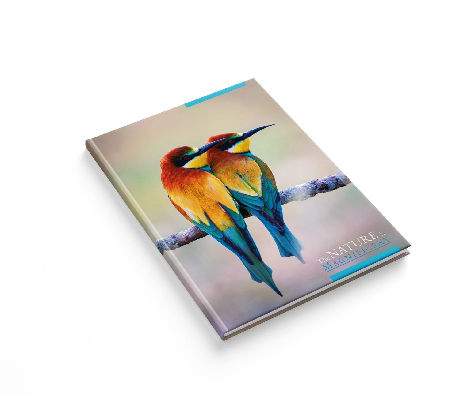 Книга обліку Аркуш Престиж А4 96арк Яскраві пташки 1В2774